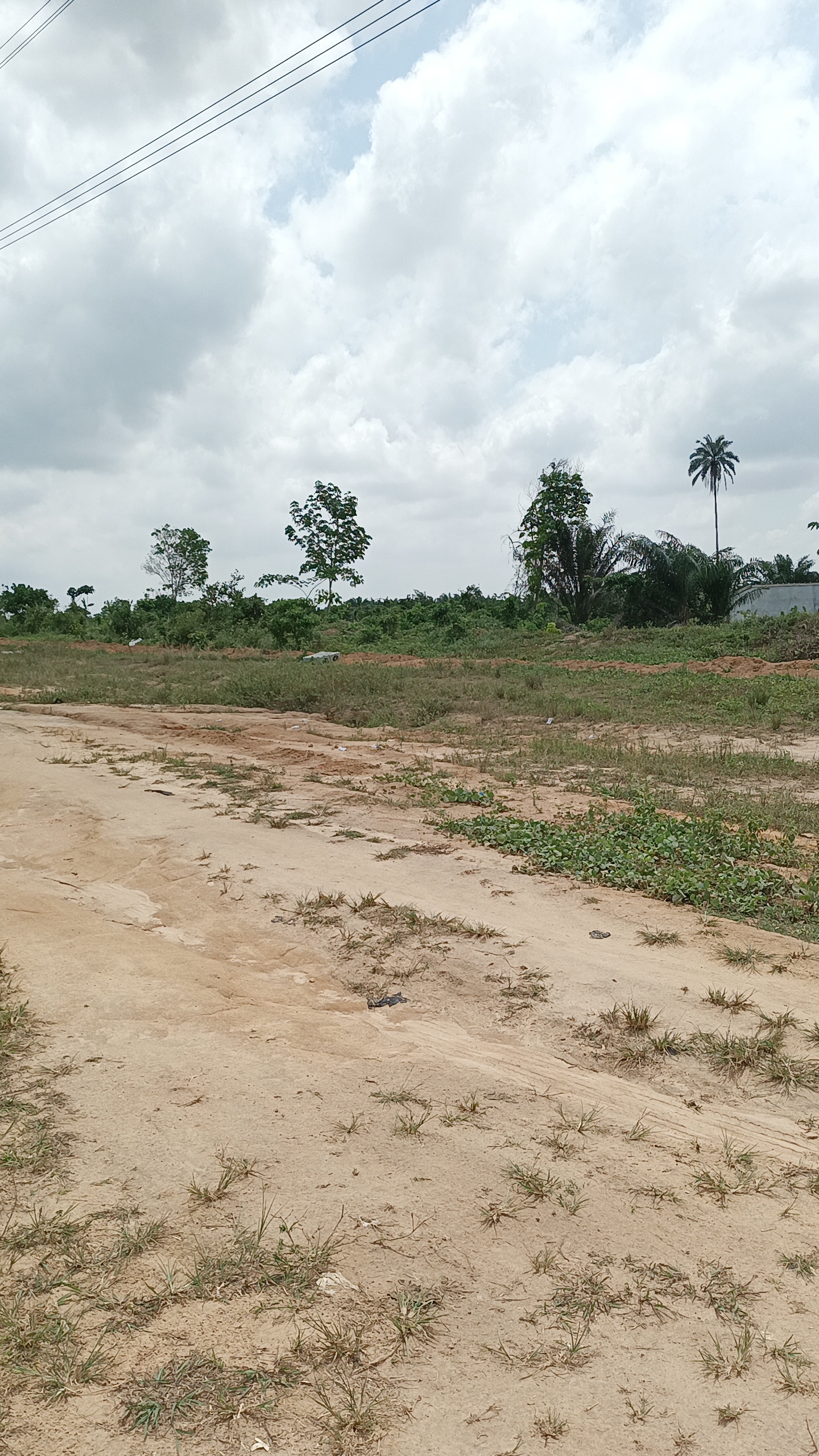 Image de propriété 3