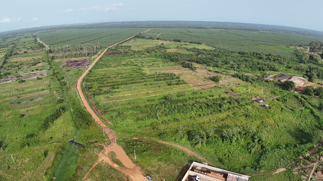 Image de propriété 7