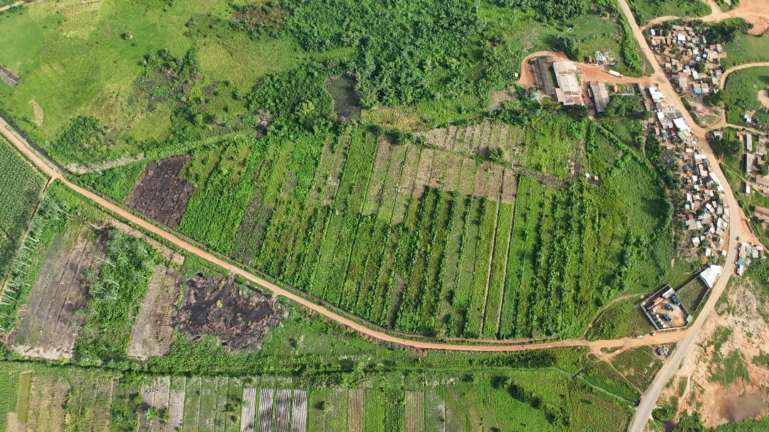 Image de propriété 10